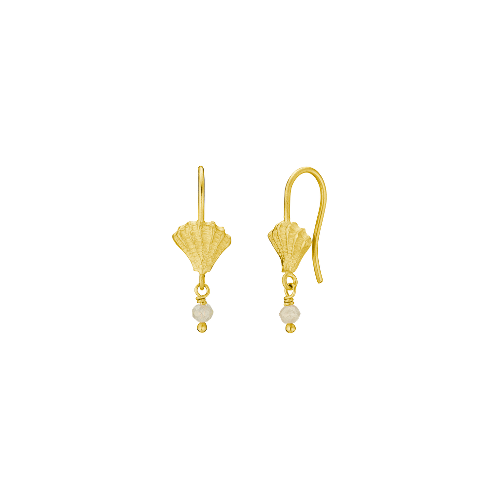 Seashell Diamond Drops