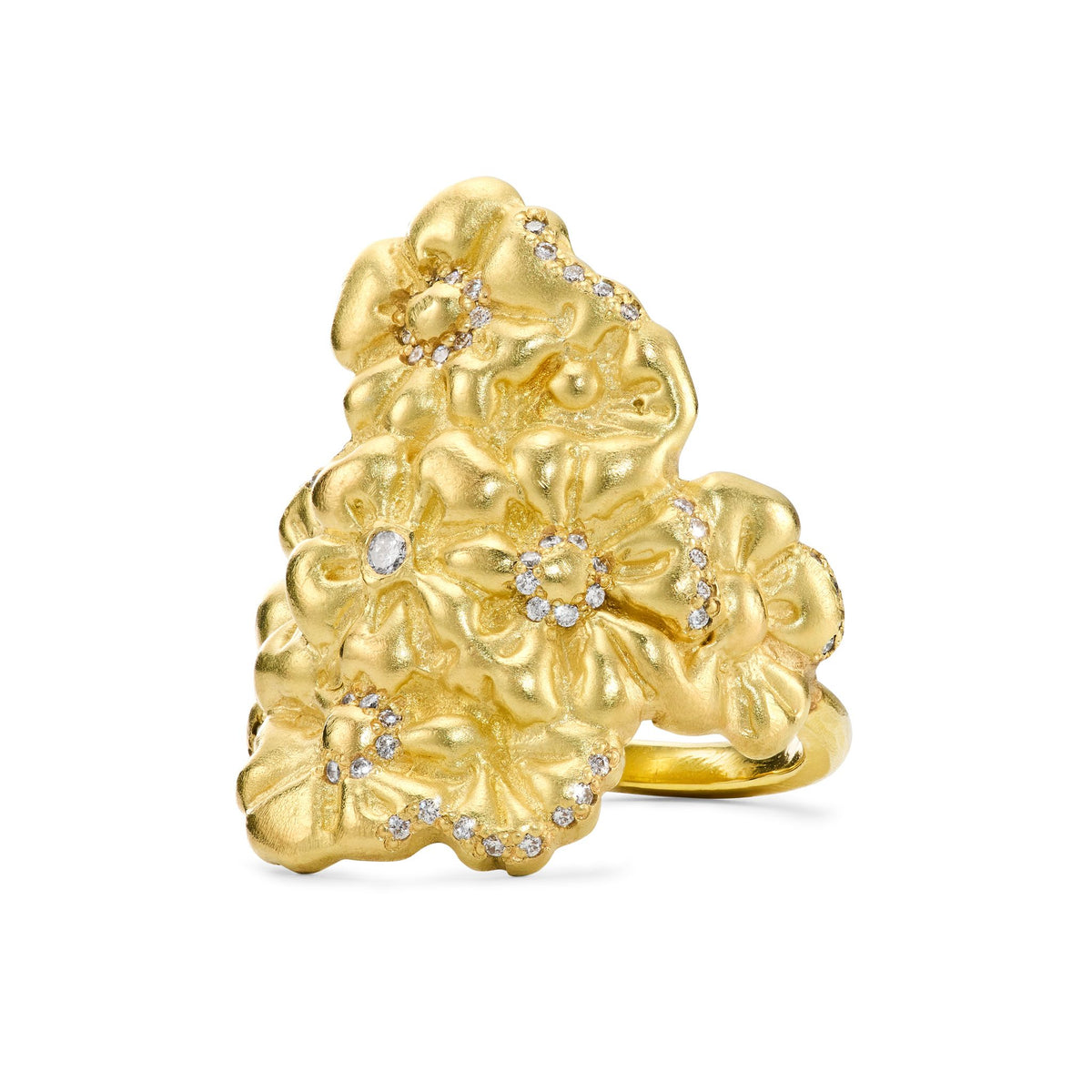 GARDEN RING